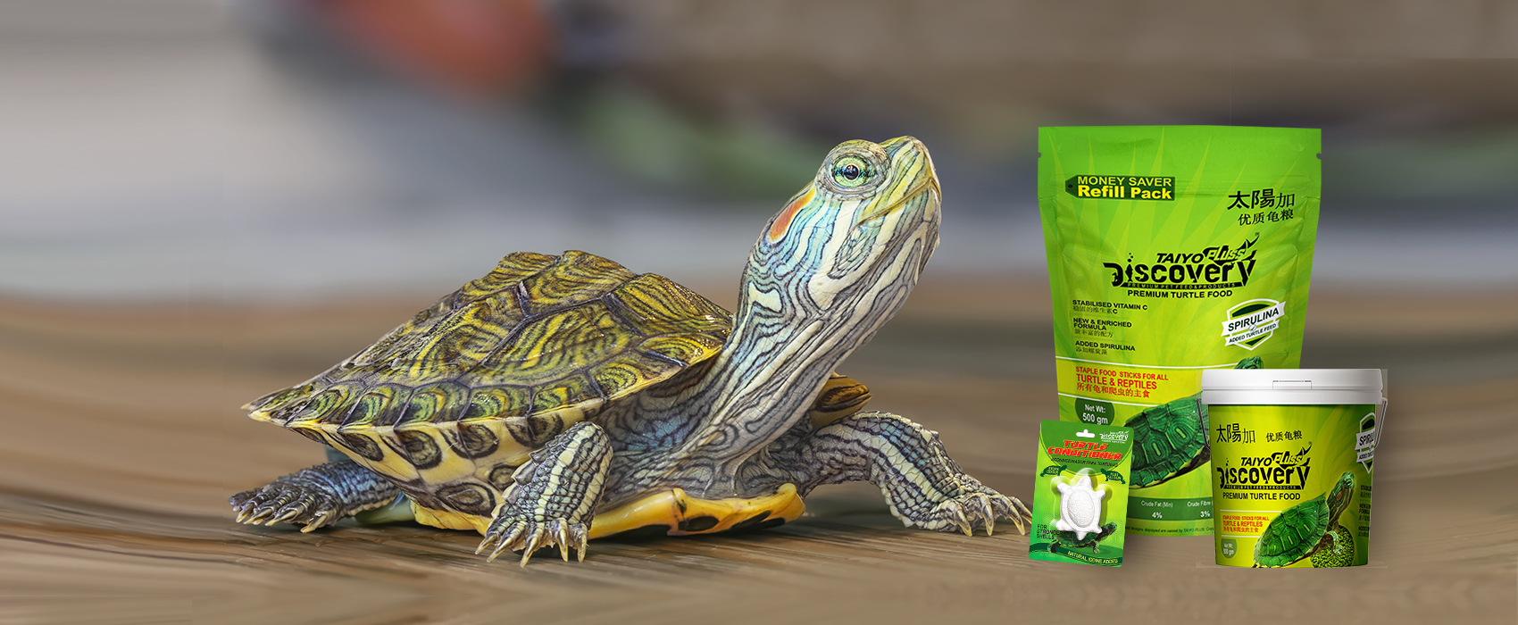 TURTLE FOOD
